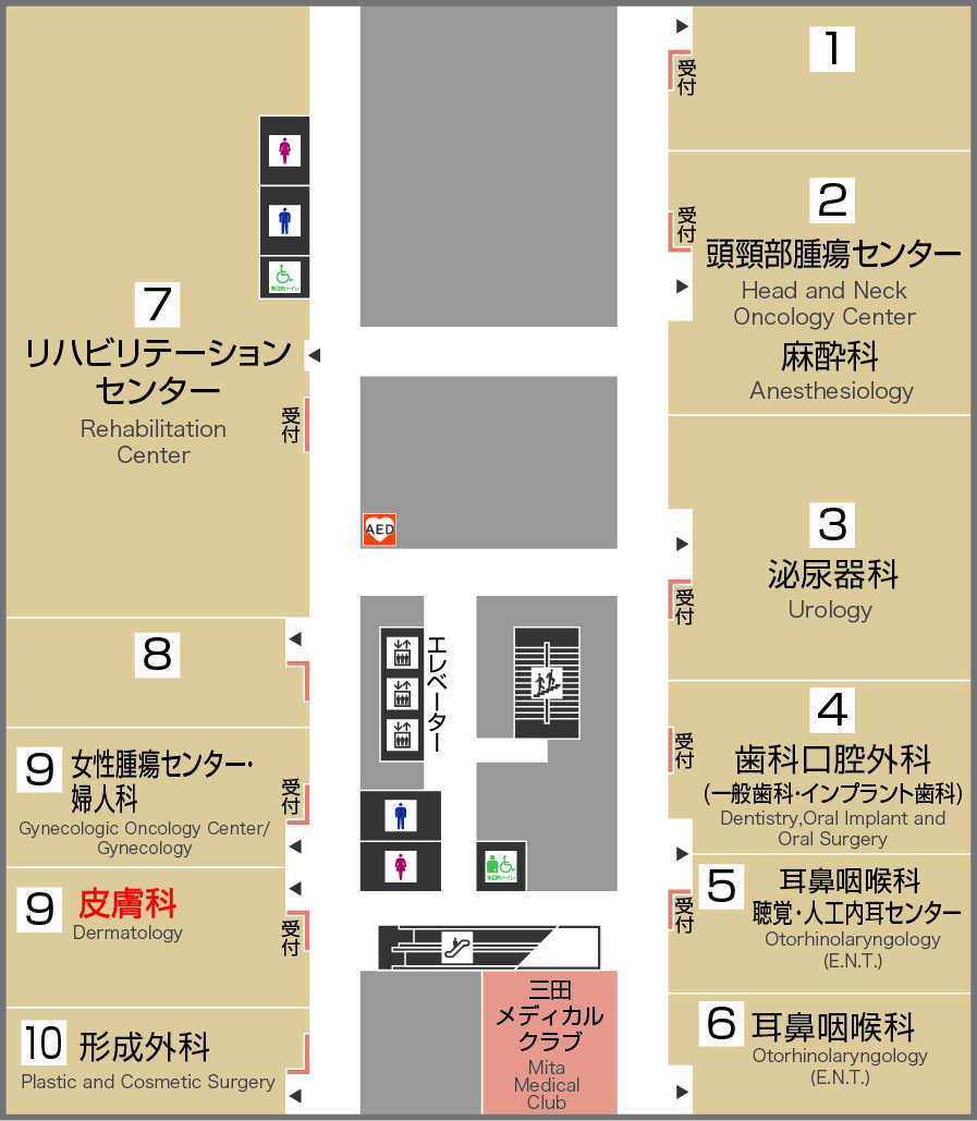 皮膚科 フロアマップ