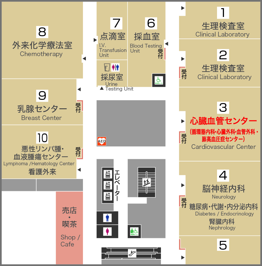 心臓血管センター フロアマップ
